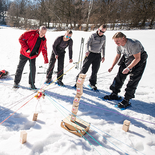 Schneeschuh-Teamtrainings, Managementtraining im Winter