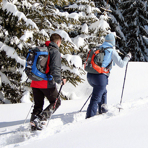 Schneeschuhwandern Bayerischer Wald / Schneeschuhtouren Bayerischer Wald