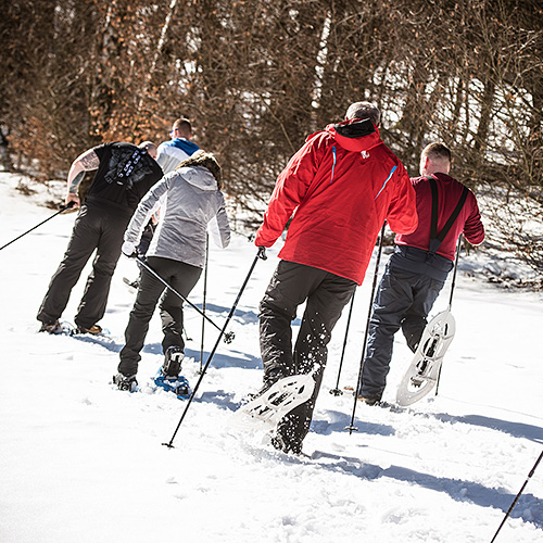 Schneeschuhwandern im Sauerland / Schneeschuhtouren im Sauerland