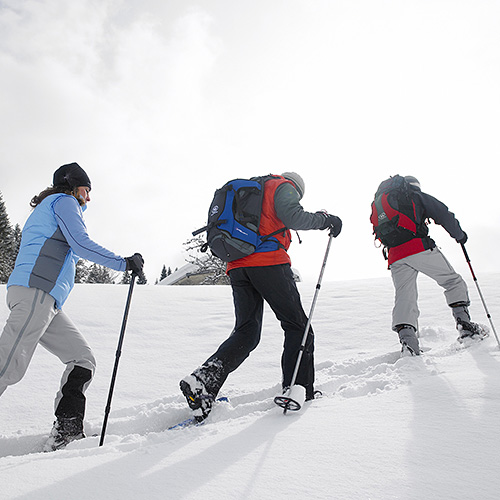 Schneeschuhwandern Schwarzwald / Schneeschuhtouren Black Forest