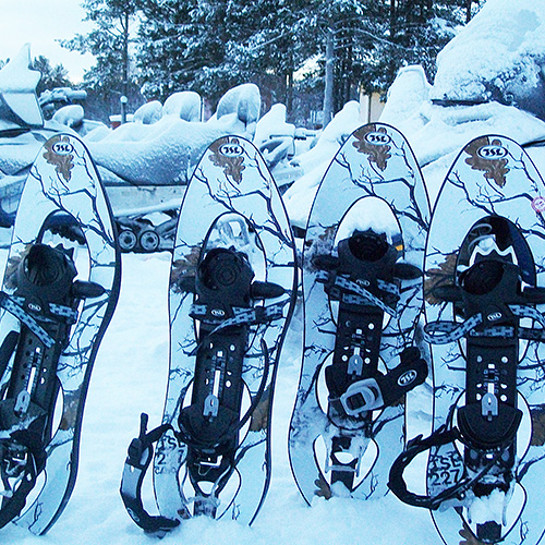 Schneeschuhtouren Skandinavien / Schweden-Norwegen-Finnland